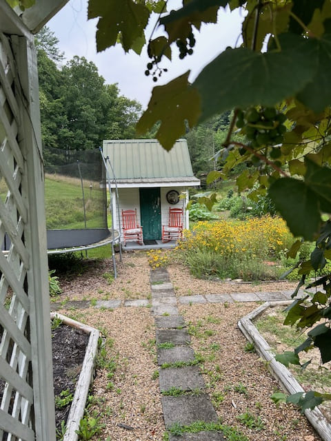 A small fairy house with goldenrod and a trampoline, where Liam Carnahan wrote an essay.
