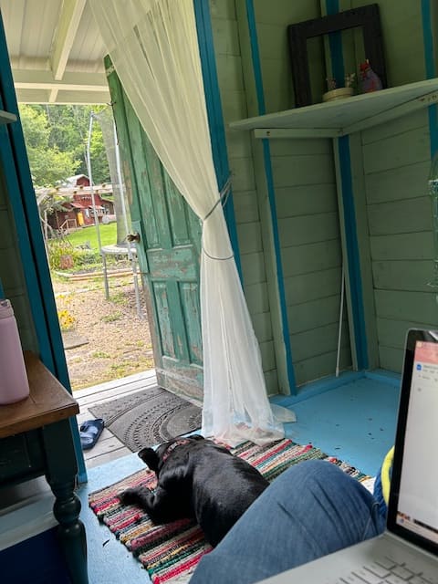 A black dog lay on the floor of a small hut, while a person in jeans writes on a laptop.
