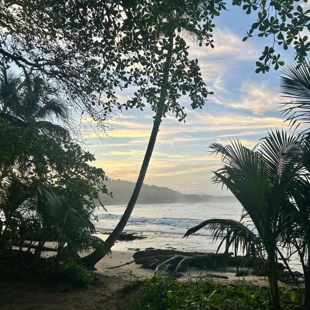 Palm trees and a misty beach in Puerto Viejo, Costa Rica at Sunset